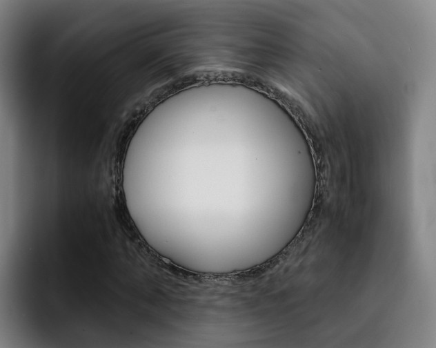X0000093100870200709260925