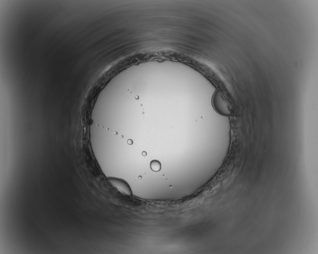 X0000093100871200709260925