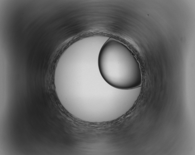 X0000093100872200709260925