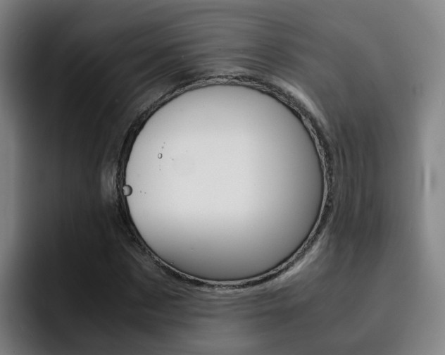 X0000093100873200709260925