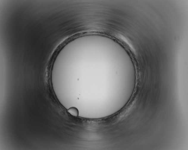 X0000093100875200709260925