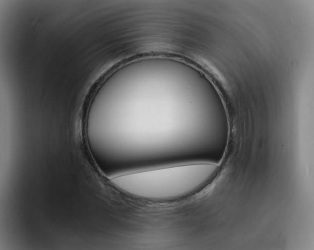 X0000093100877200709260925