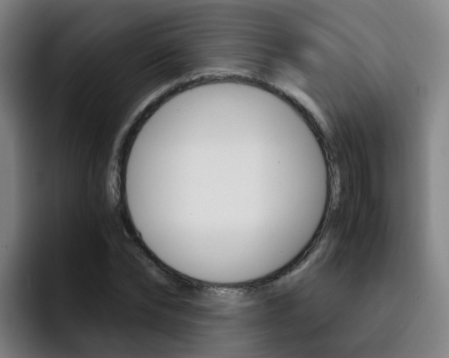 X0000093100878200709260925
