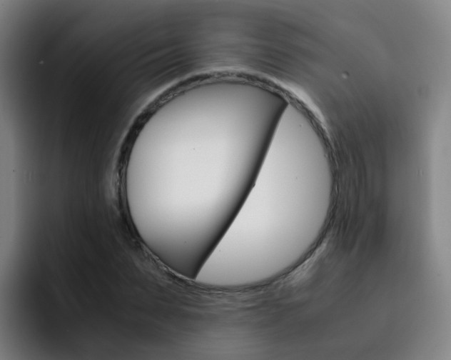 X0000093100879200709260925