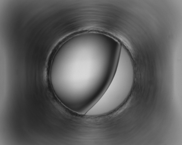 X0000093100880200709260925