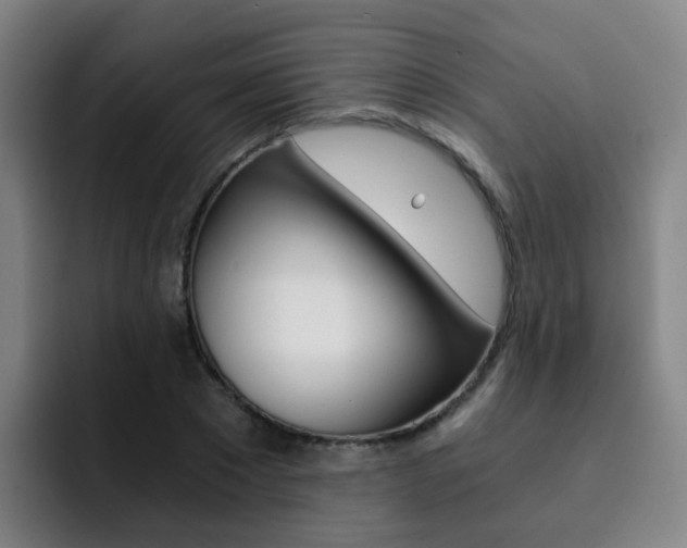 X0000093100881200709260925