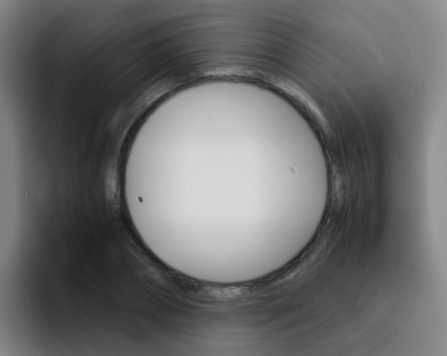 X0000093100882200709260925