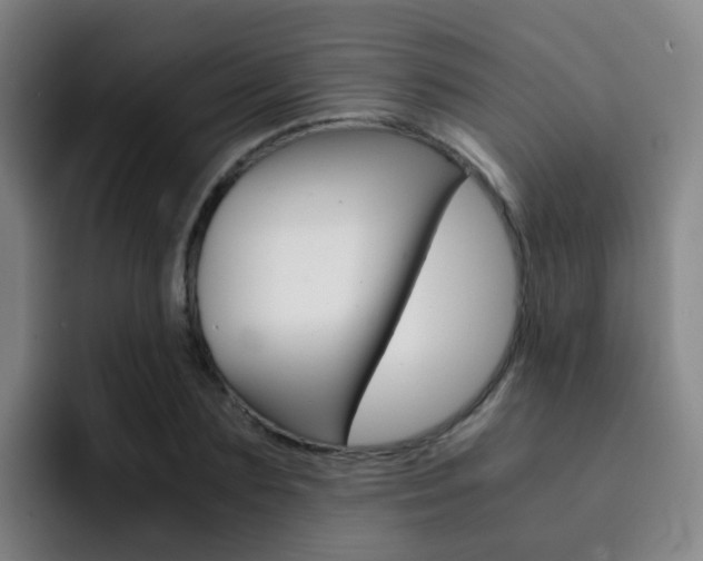 X0000093100883200709260925