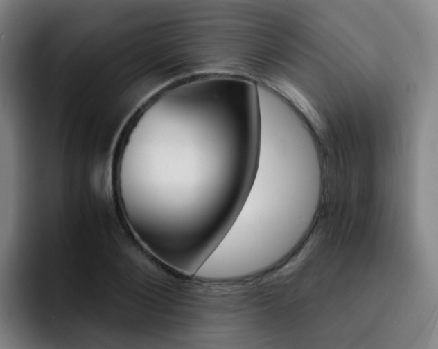 X0000093100884200709260925