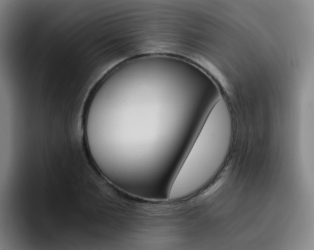 X0000093100885200709260925