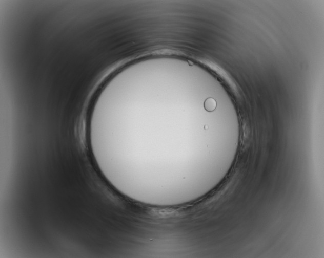 X0000093100886200709260925