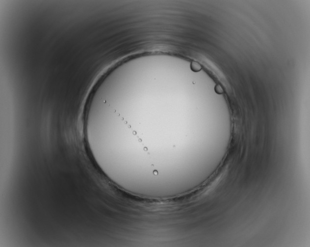 X0000093100891200709260925