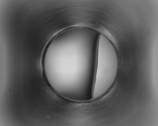 X0000093100892200709260925