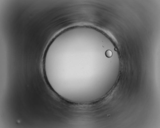 X0000093100895200709260925