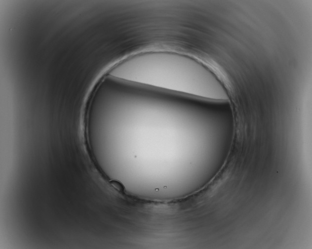 X0000093100896200709260925