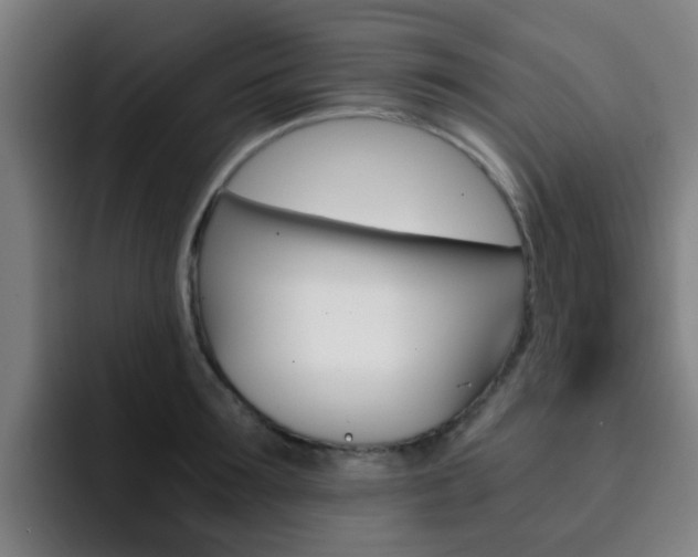 X0000093100899200709260925