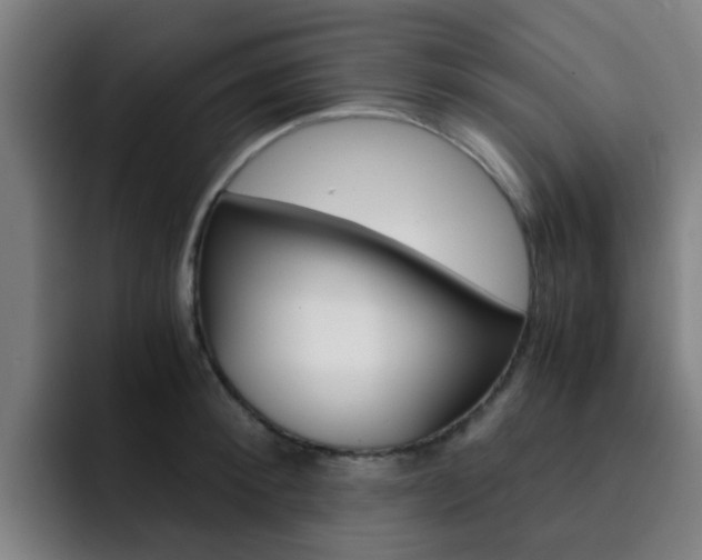 X0000093100900200709260925