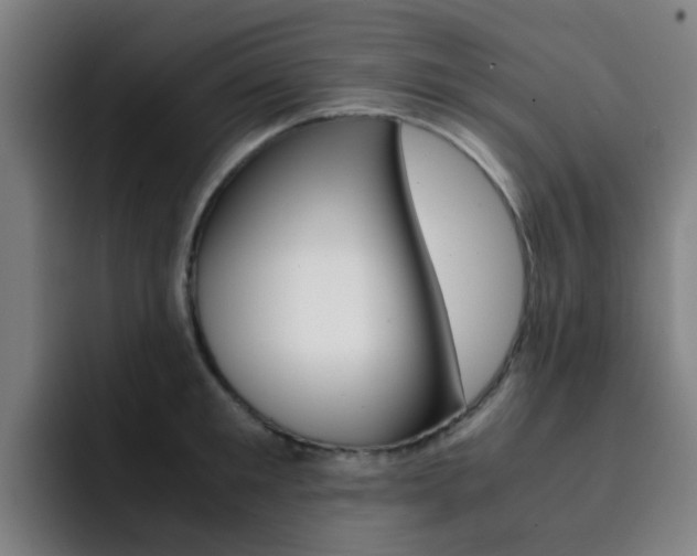 X0000093100901200709260925