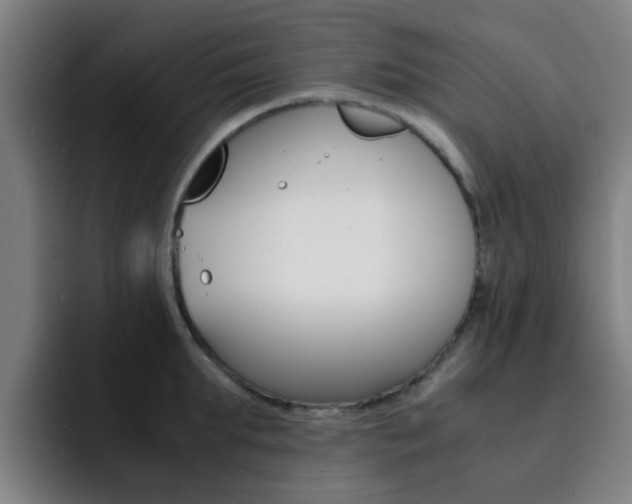 X0000093100903200709260925