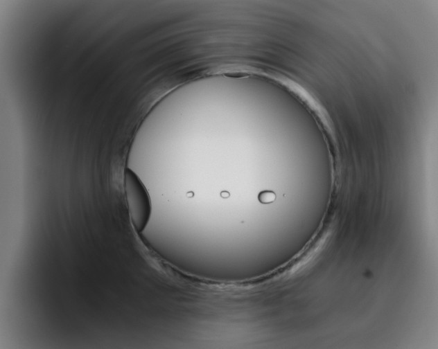 X0000093100905200709260925