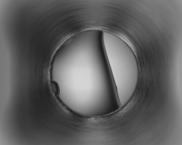 X0000093100906200709260925