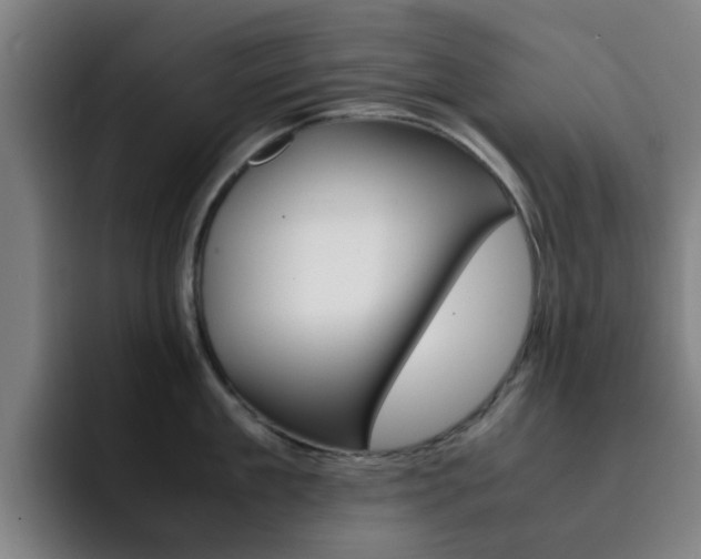 X0000093100909200709260925