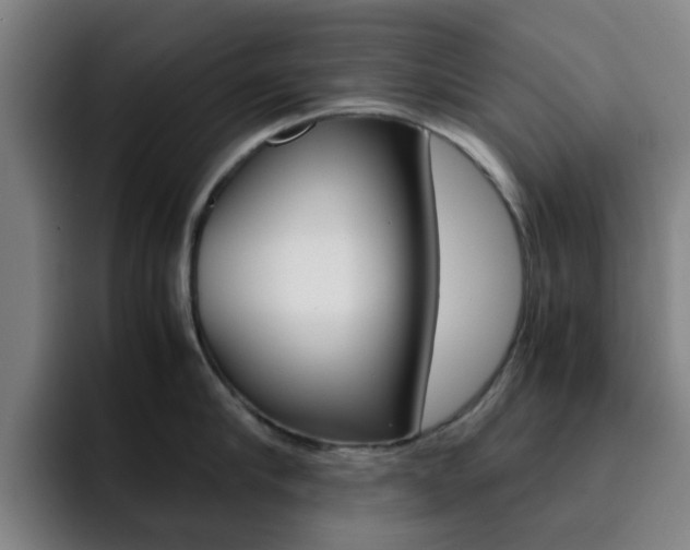 X0000093100910200709260925