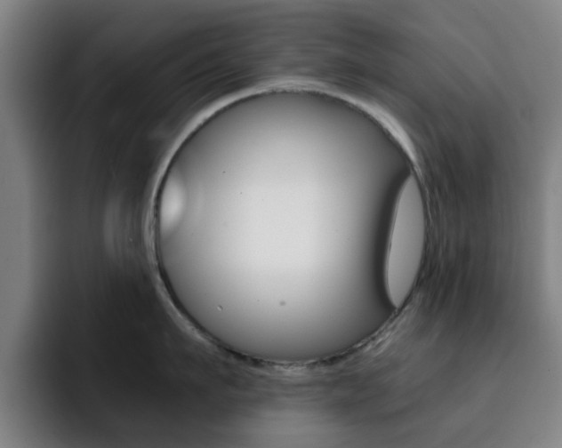 X0000093100911200709260925
