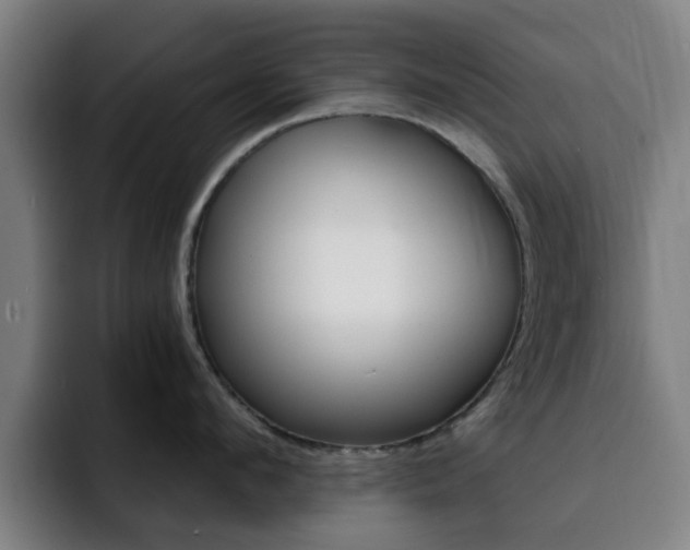 X0000093100912200709260925