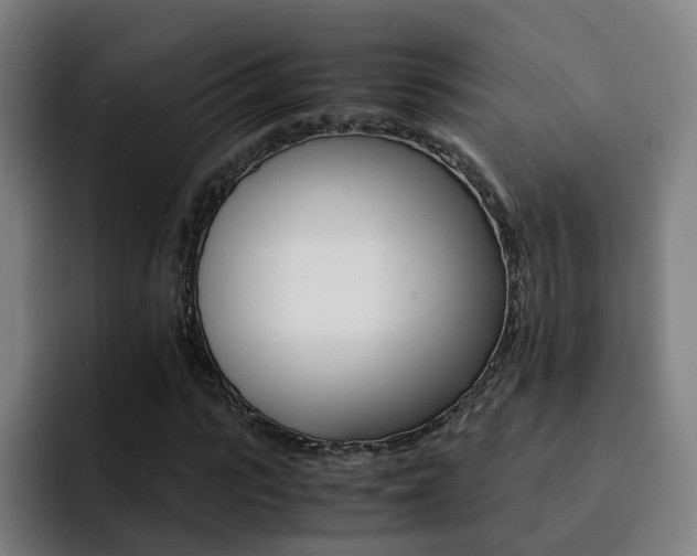 X0000093100919200709260924