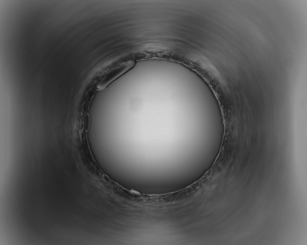 X0000093100920200709260924