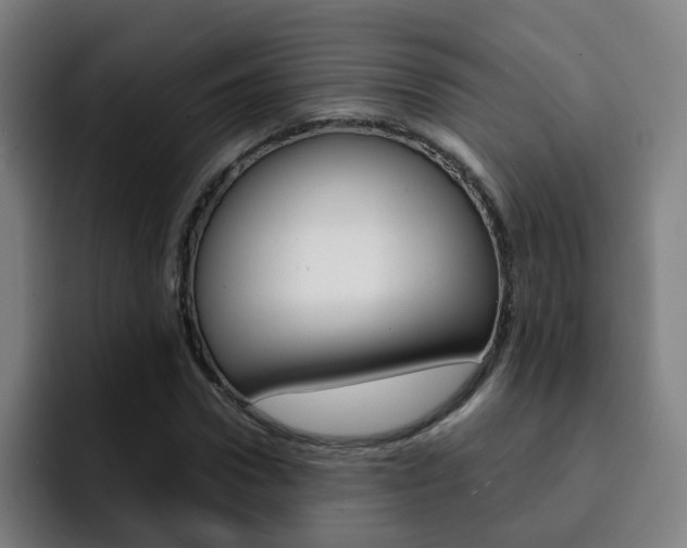 X0000093100922200709260924