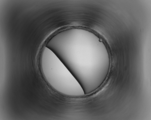 X0000093100925200709260924