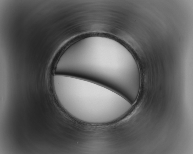 X0000093100926200709260924