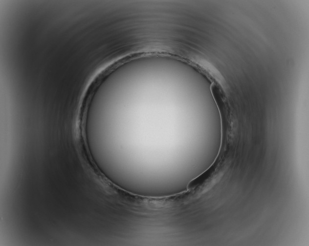 X0000093100928200709260925