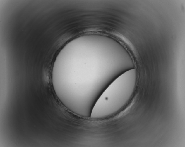 X0000093100929200709260925