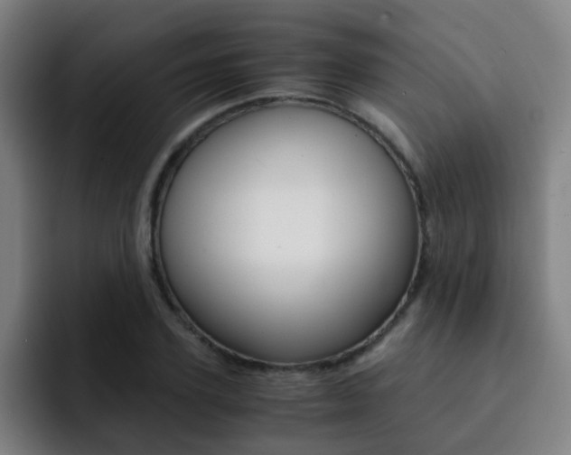 X0000093100931200709260925