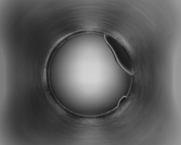 X0000093100932200709260925