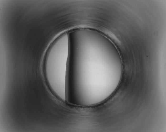 X0000093100934200709260925
