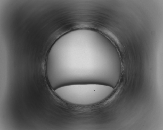 X0000093100937200709260925
