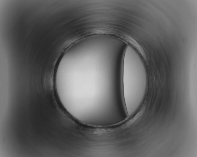 X0000093100938200709260925