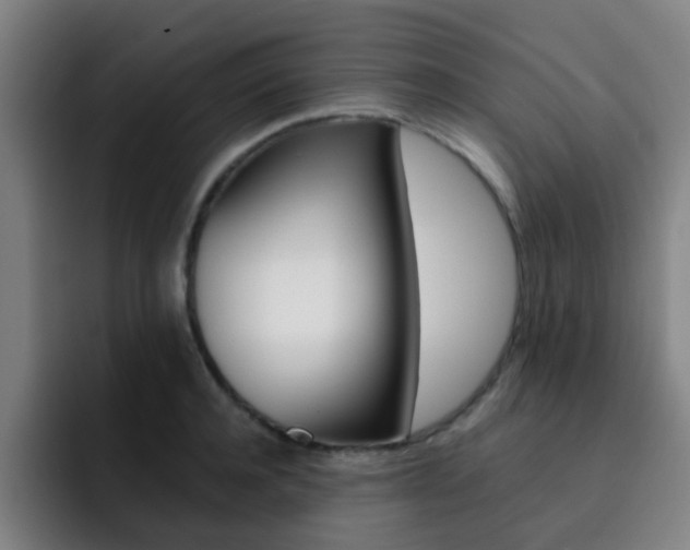 X0000093100944200709260925