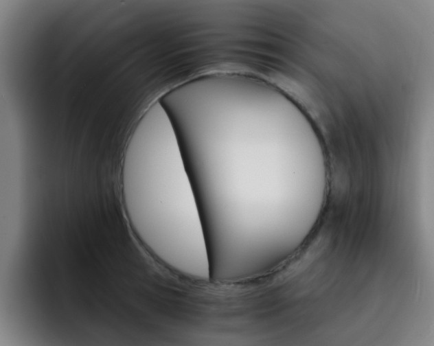 X0000093100945200709260925