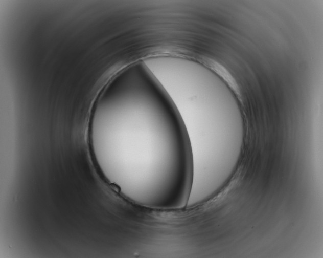 X0000093100946200709260925