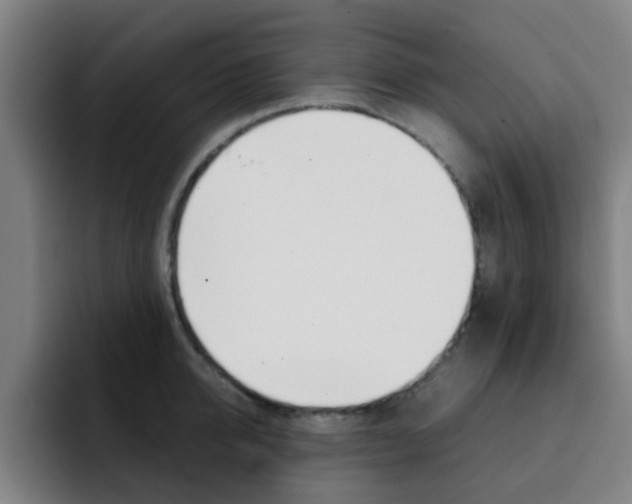 X0000093100950200709260925