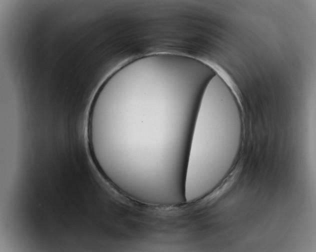 X0000093100957200709260925