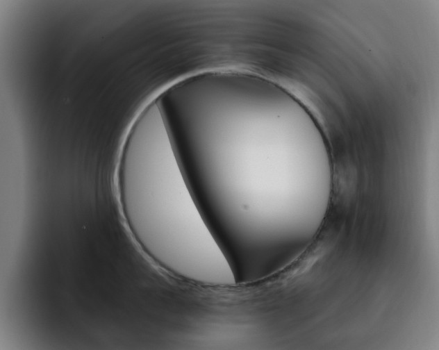 X0000093100959200709260925