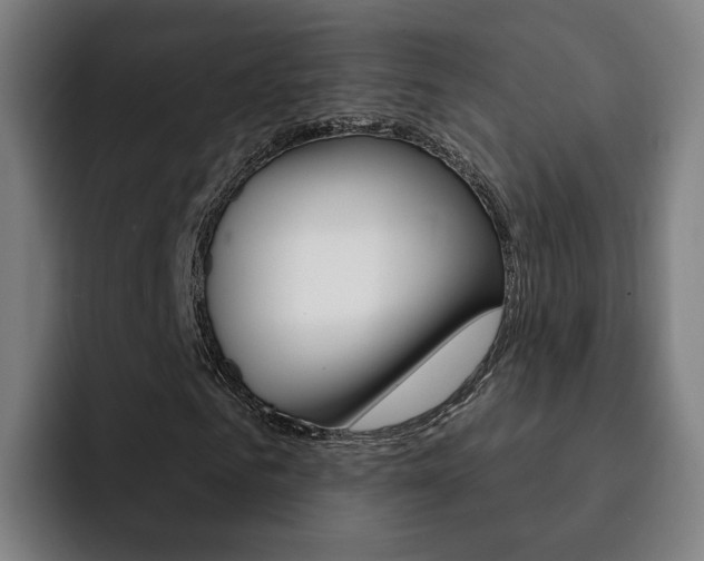 X0000093100961200709260924