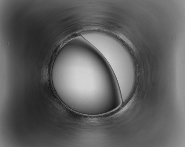X0000093100969200709260924