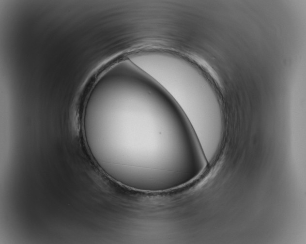 X0000093100973200709260924